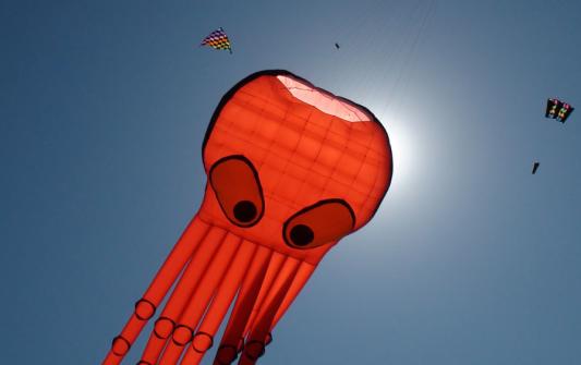 Milwaukee IKEA Family Kite Festival...Celebrating America